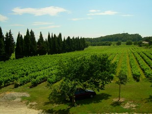 La vue depuis la chambre