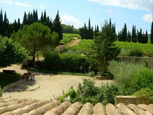 La vue depuis le gîte